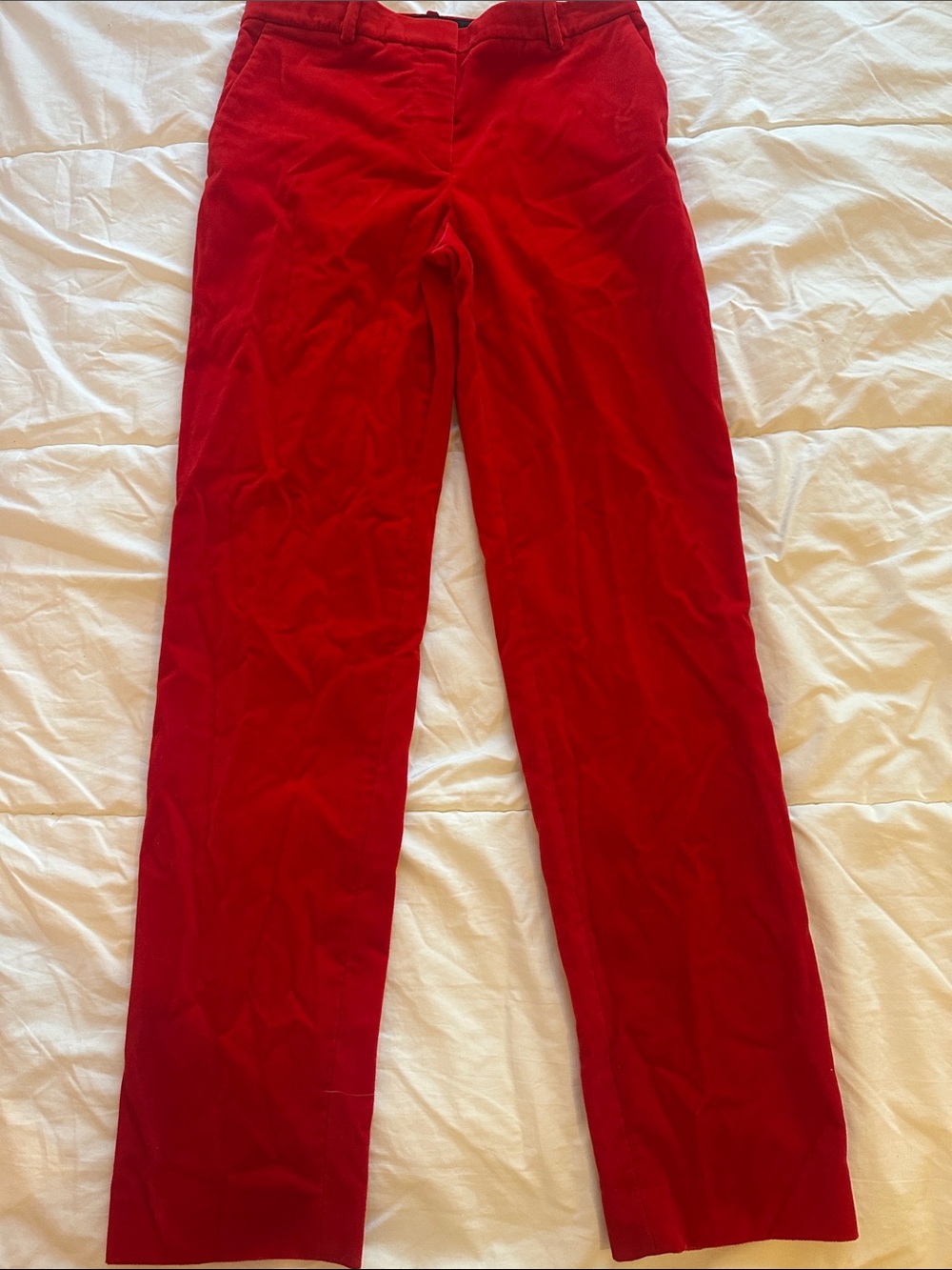 Theory tailored trouser velvet red pants
